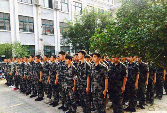 初中生适合来八维学习热门的IT技术吗?