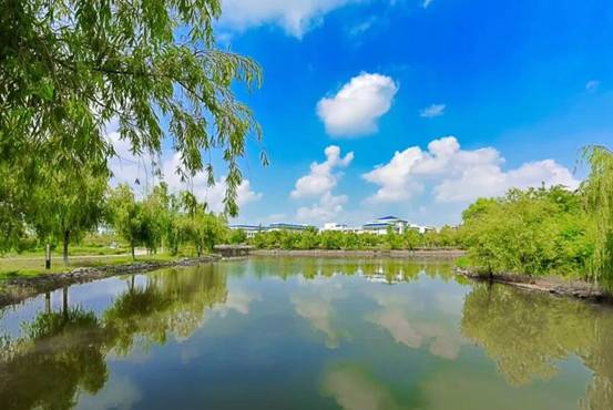 宠辱不惊  淡泊养志气