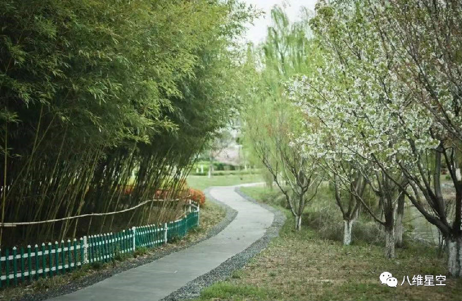 八维教育培训学校云计算专业