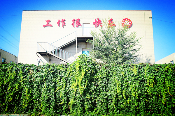八维教育个性化职业规划助力学子技能提升开启职业辉煌