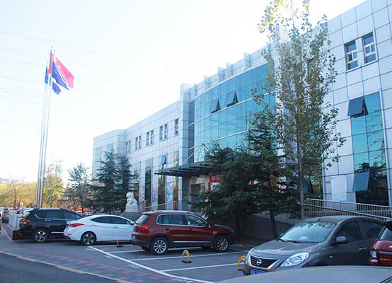 八维教育：锻造全能精英，引领未来新篇章